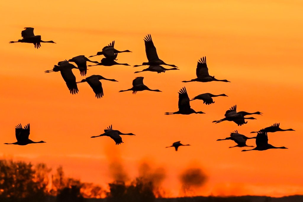 Sự kiện (4_112).jpg