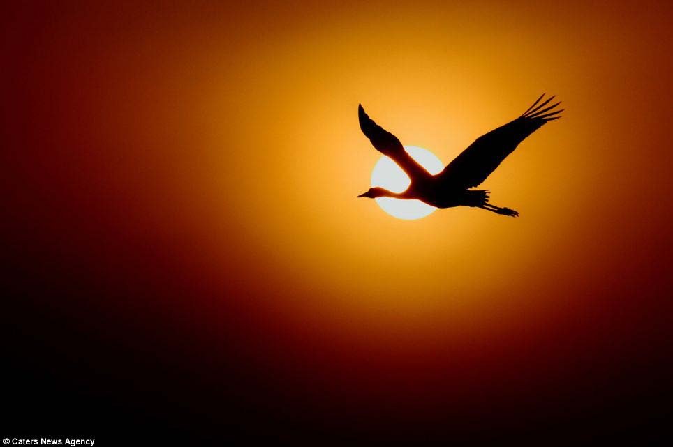 Thiên nhiên (55_4).jpg