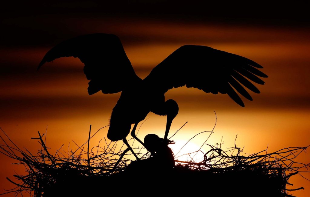 Thiên nhiên (57_29).jpg