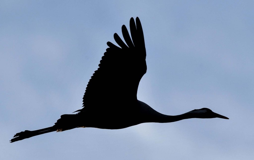 Thiên nhiên (57_36).jpg