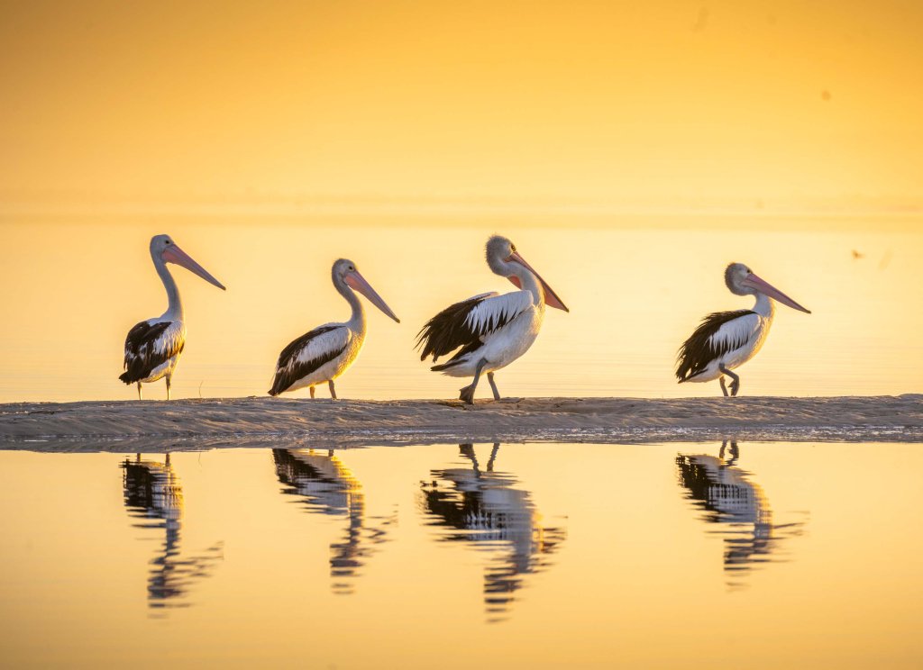 Thiên nhiên (61_29).jpg