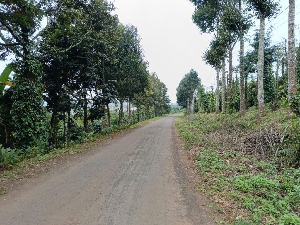 454765169260786898 (1).jpg