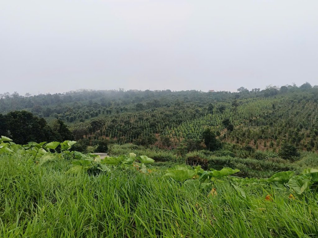 f4780a7b9eb212ec4ba3 (1).jpg