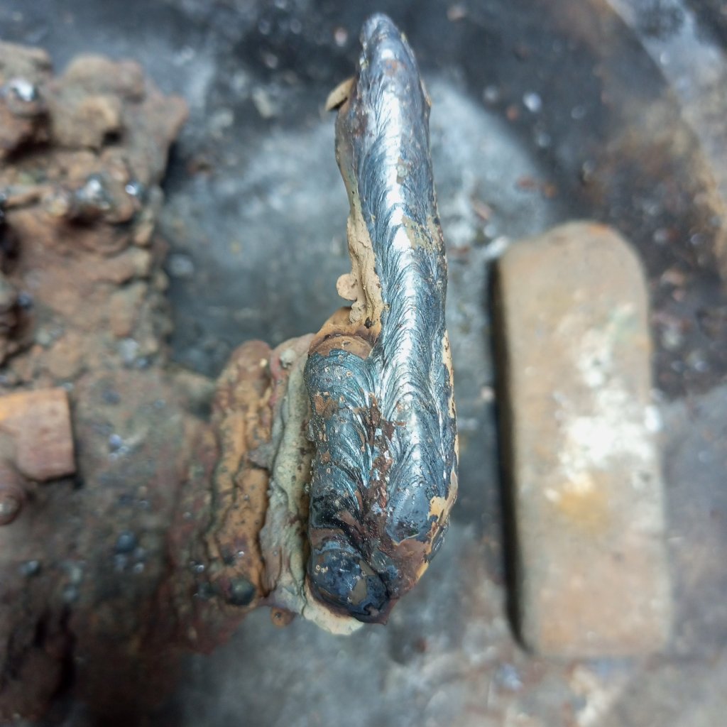 IMG_20251116_143037_407 (1).jpg