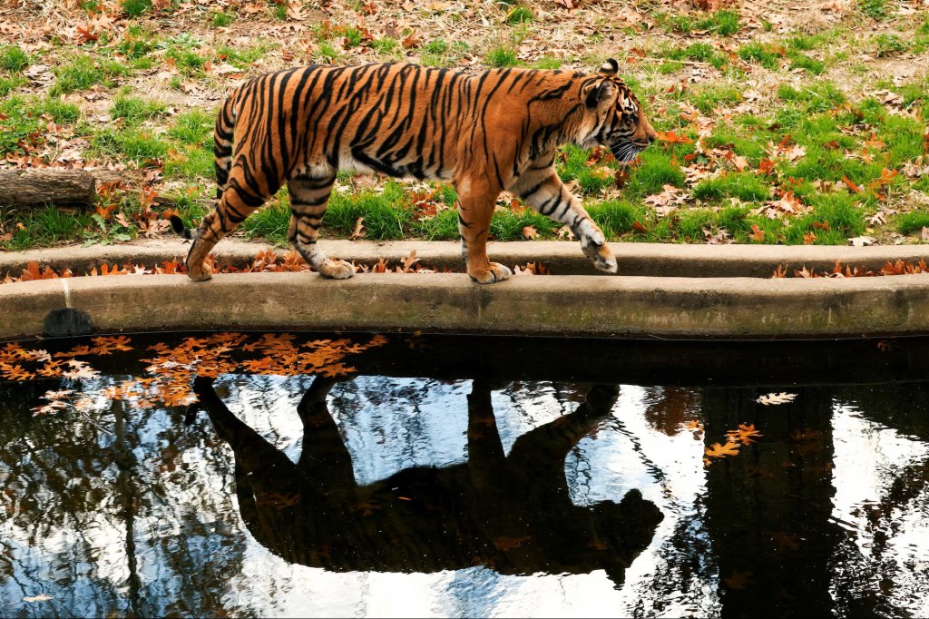 Sự kiện (3_x1).jpg