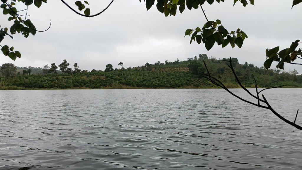 WhatsApp Image 2025-11-21 at 14.49.06.jpeg