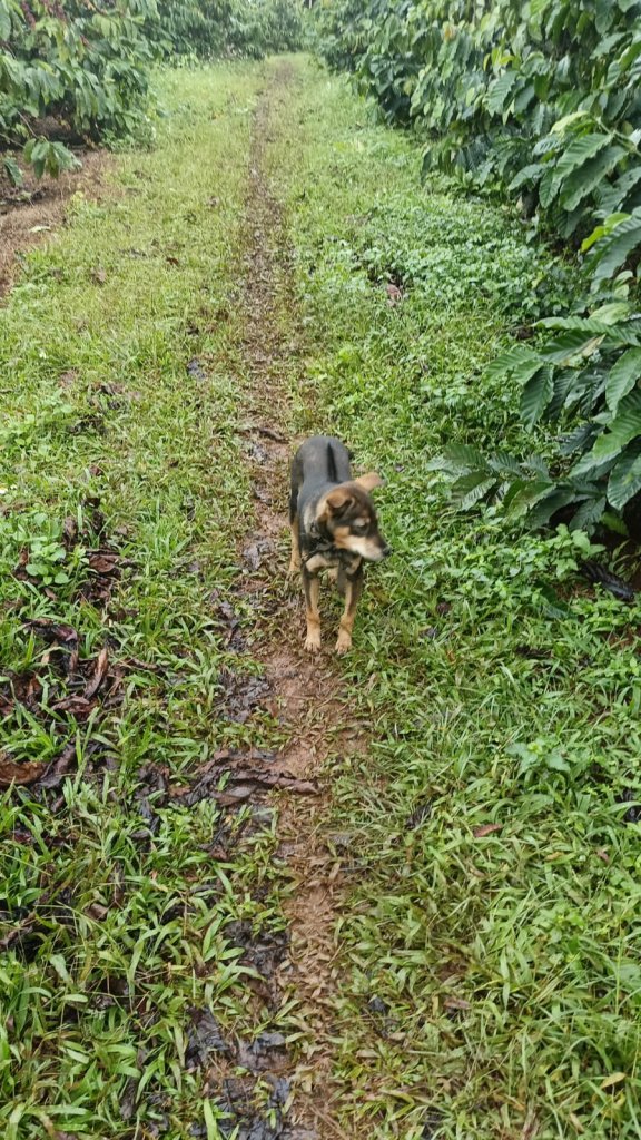 WhatsApp Image 2025-11-21 at 15.06.51.jpeg