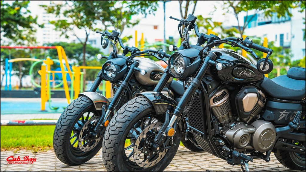 Benda Chinchilla 500 (136).jpg