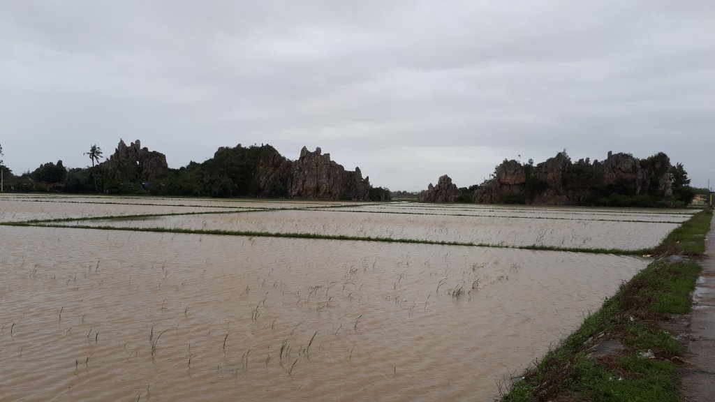 Gành đá Hòa Thắng 0.12 (15).jpg