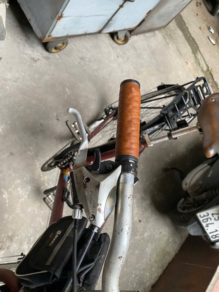 3140781792432675835 (1).jpg