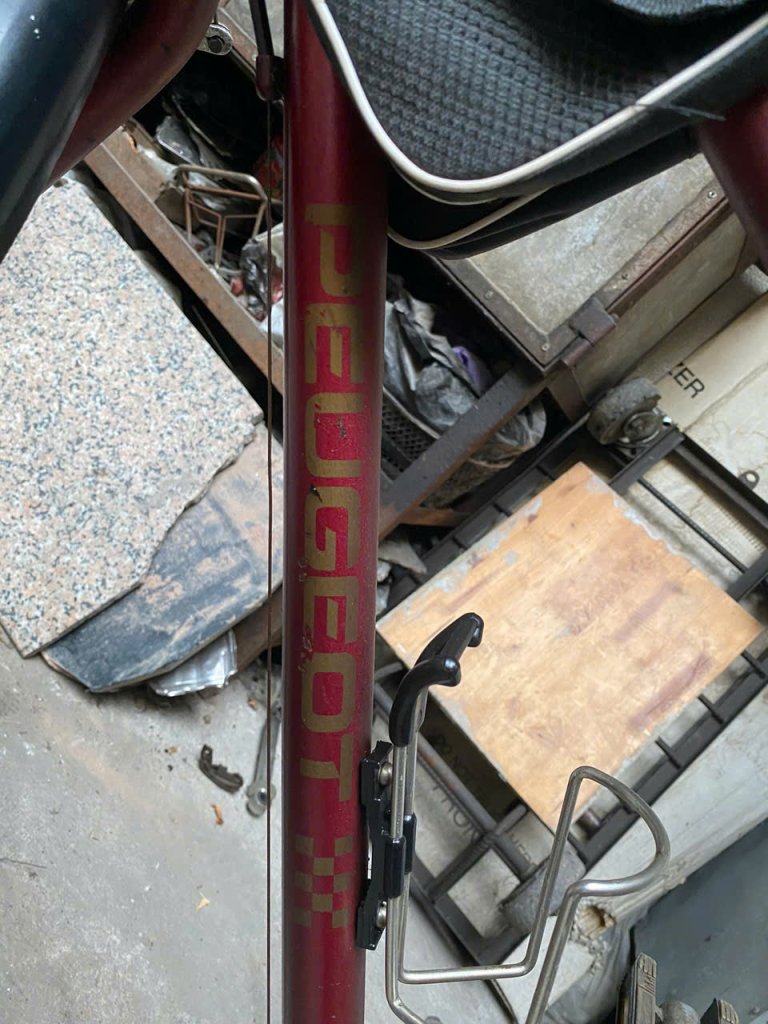 3999819696656559198 (1).jpg