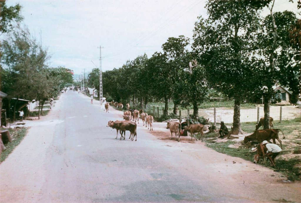 Quảng Trị (3_75).jpg