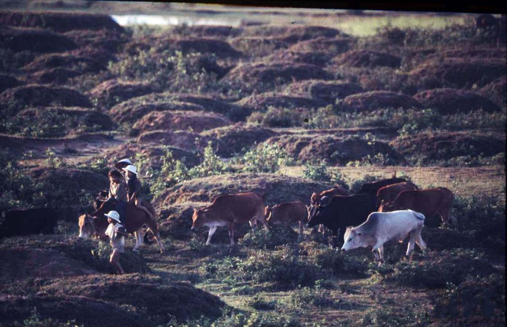 Quảng Trị_Hiền Lương (97).jpg