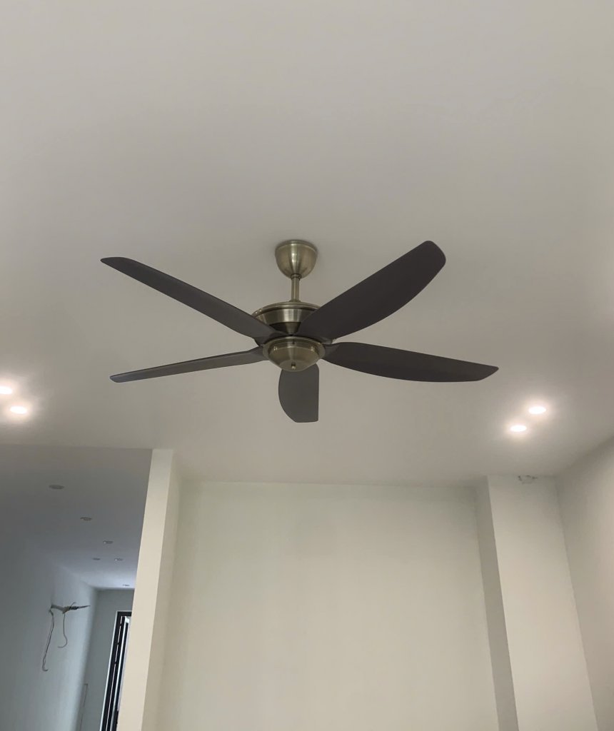 8077176-bcba31af5dc6415d692ca6ce50f2ee2f (1).jpeg