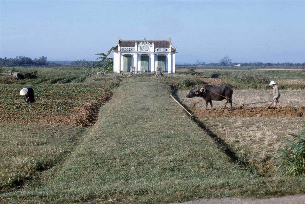 Quảng Trị_Đông Hà (50).jpg