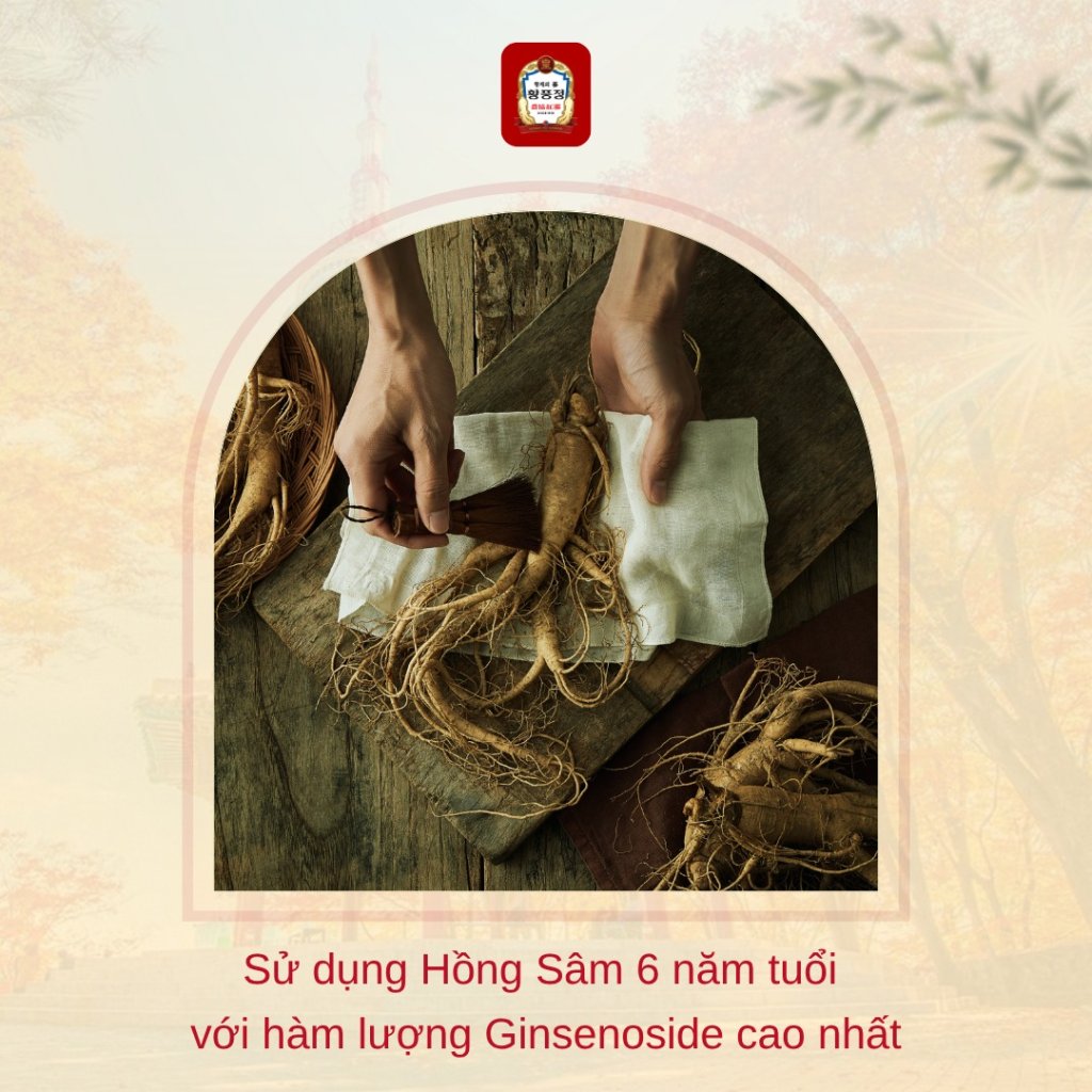 565819007_122150688854698400_6060383324086584768_n (1).jpg