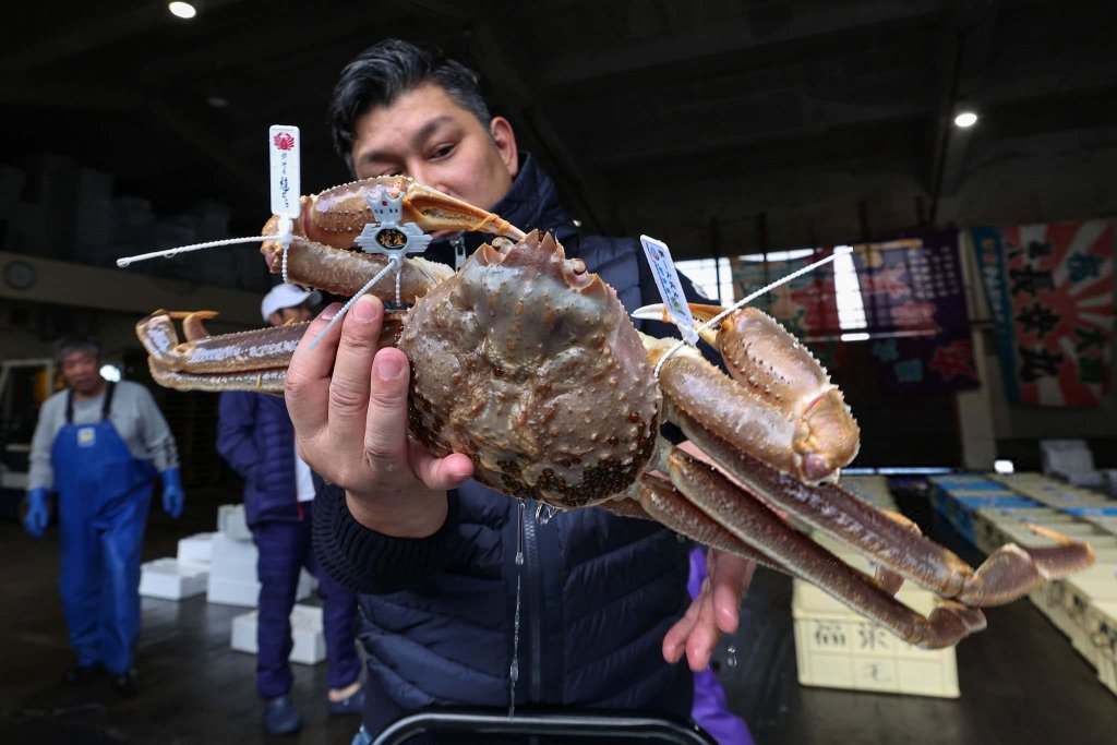 Nhật 2025_11_6 (2).jpg