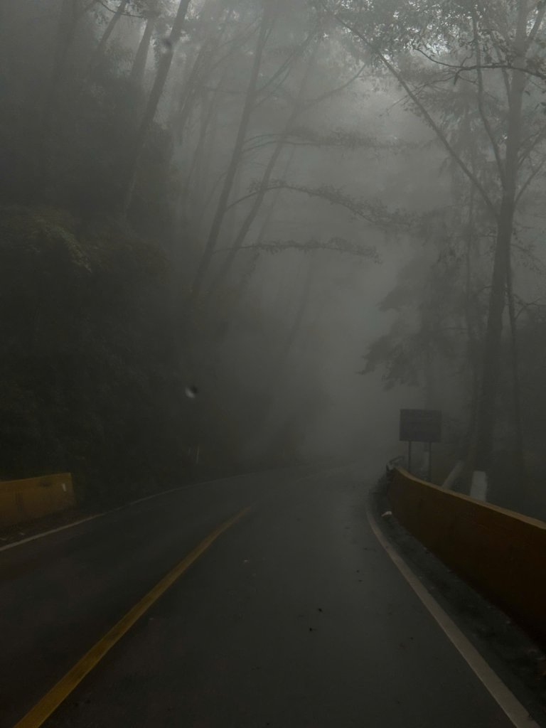 z7249733430356_d22f2a55b2b3984a2c9af78a638dbfa3.jpg