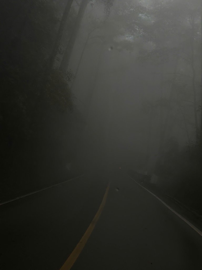z7249733437066_3fb350b302cb8288d043f005a0481d23.jpg