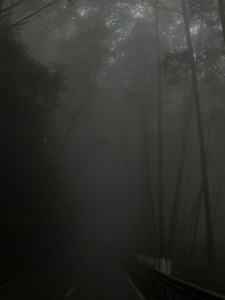 z7249733446811_e32c1fdaf0b066aace4c73b97207da18.jpg