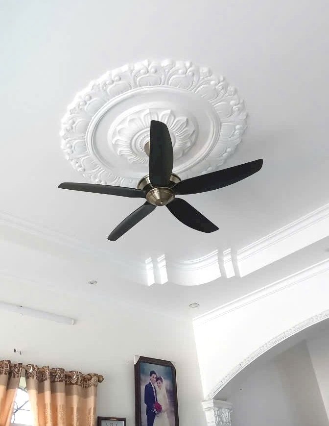 8071746-009e39c66366c2e8945988da90f901ad (1).jpeg