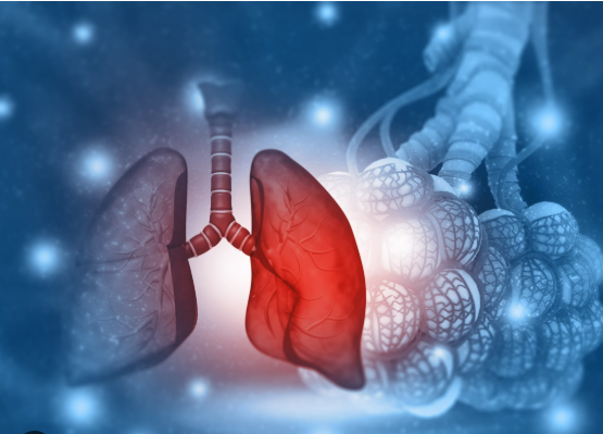 Ảnh chụp Màn hình 2025-12-19 lúc 10.03.25.png