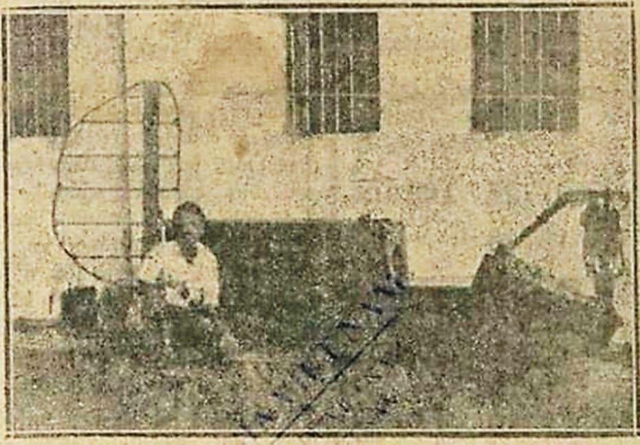 r2.jpg