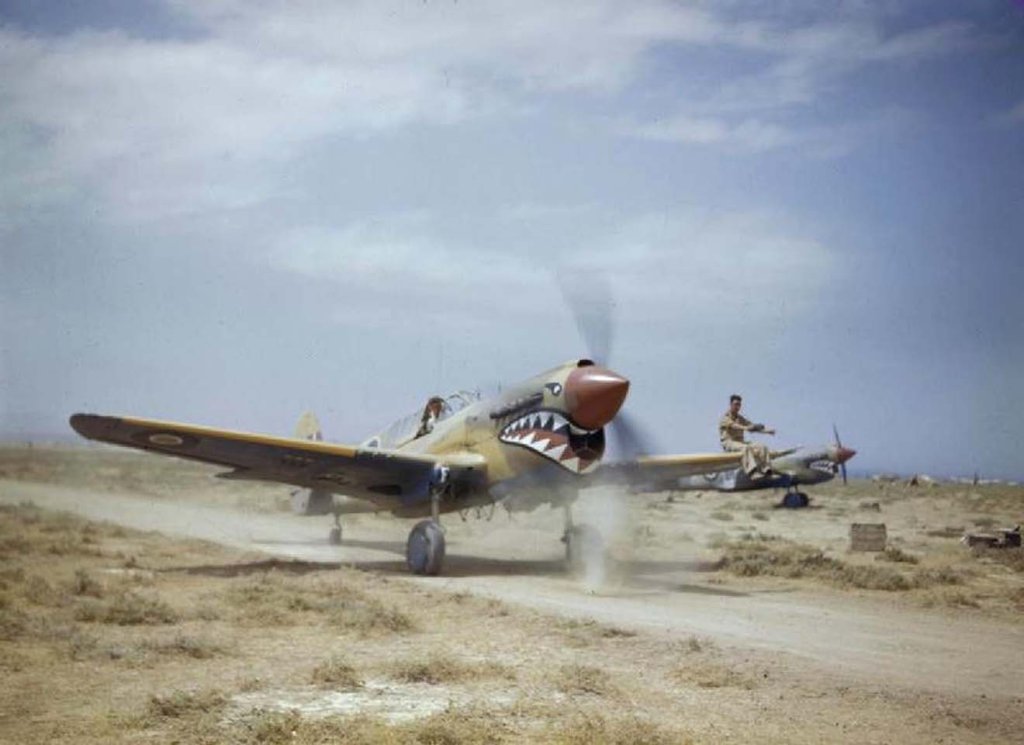 P-40 (9).jpg