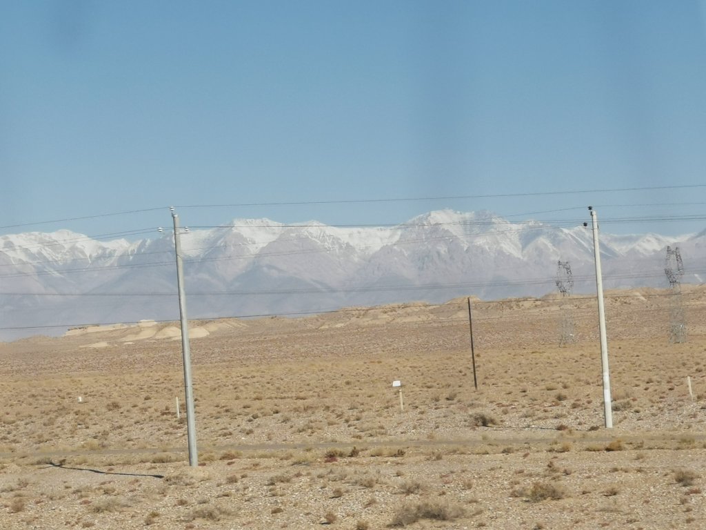 IMG_20251018_110509.jpg