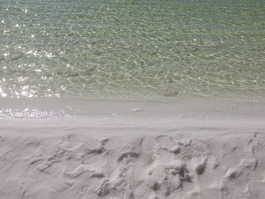 IMG_20251018_154419.jpg