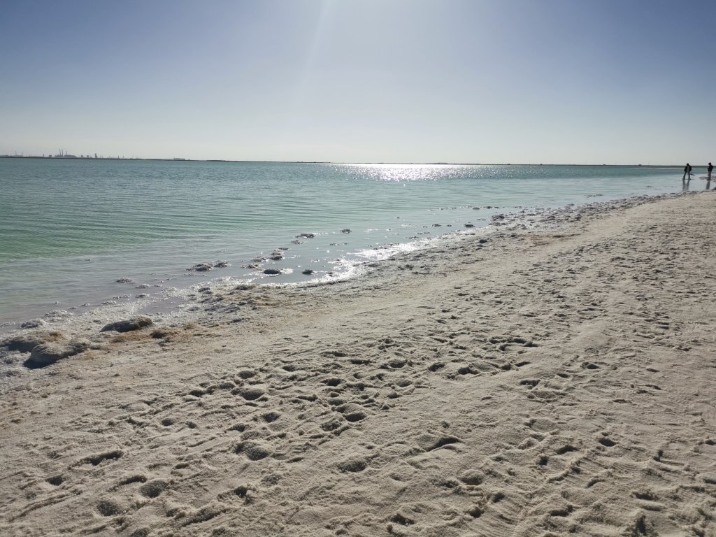 IMG_20251018_162926.jpg