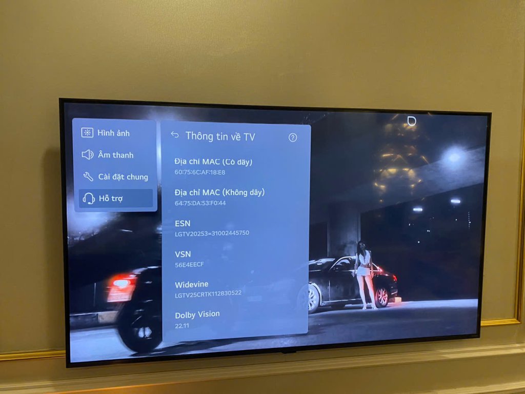 1511309314263710010 (1).jpg