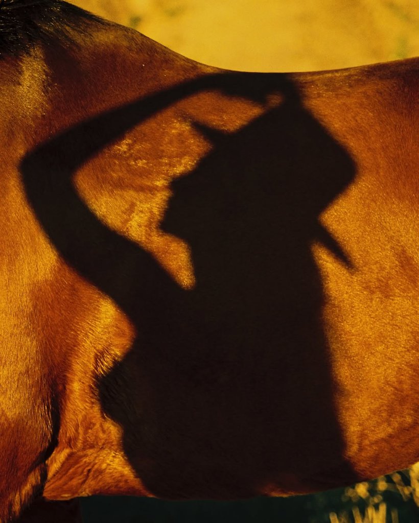 A little of this & that [USER=60585]playboy[/USER] 🖤🐰 (2).jpg