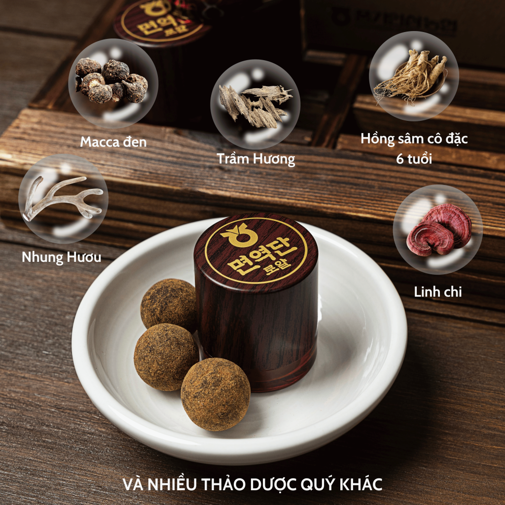 Hồng sâm núi trầm hương - 5.png