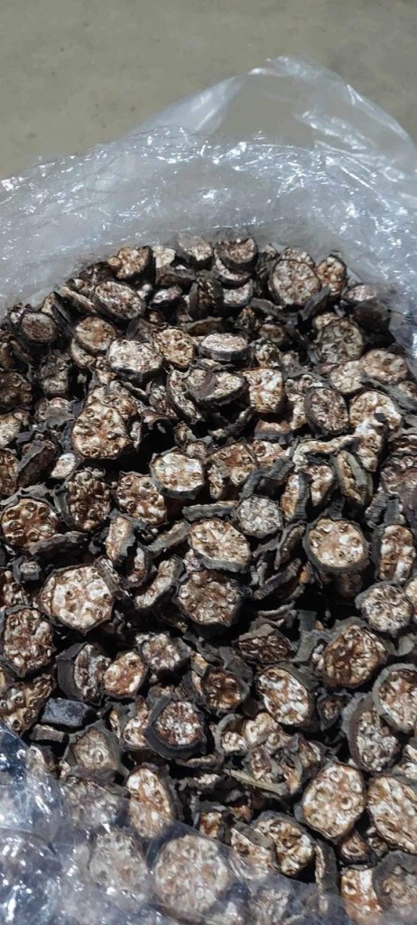 z5411130602579_dc4d9bf249c583ff210dad6f86f9b8b9 - Copy - Copy.jpg