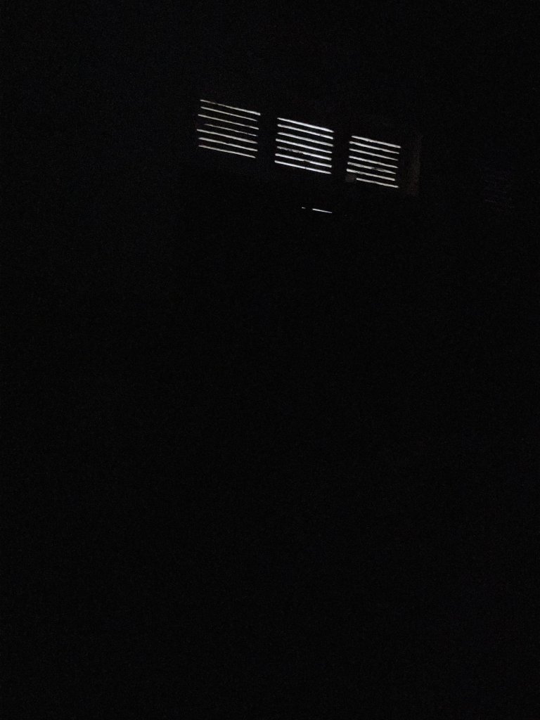 IMG_8431.jpeg