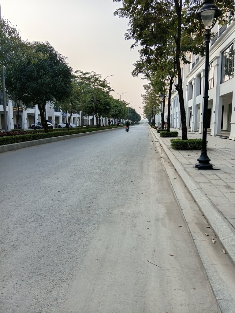 675.jpg