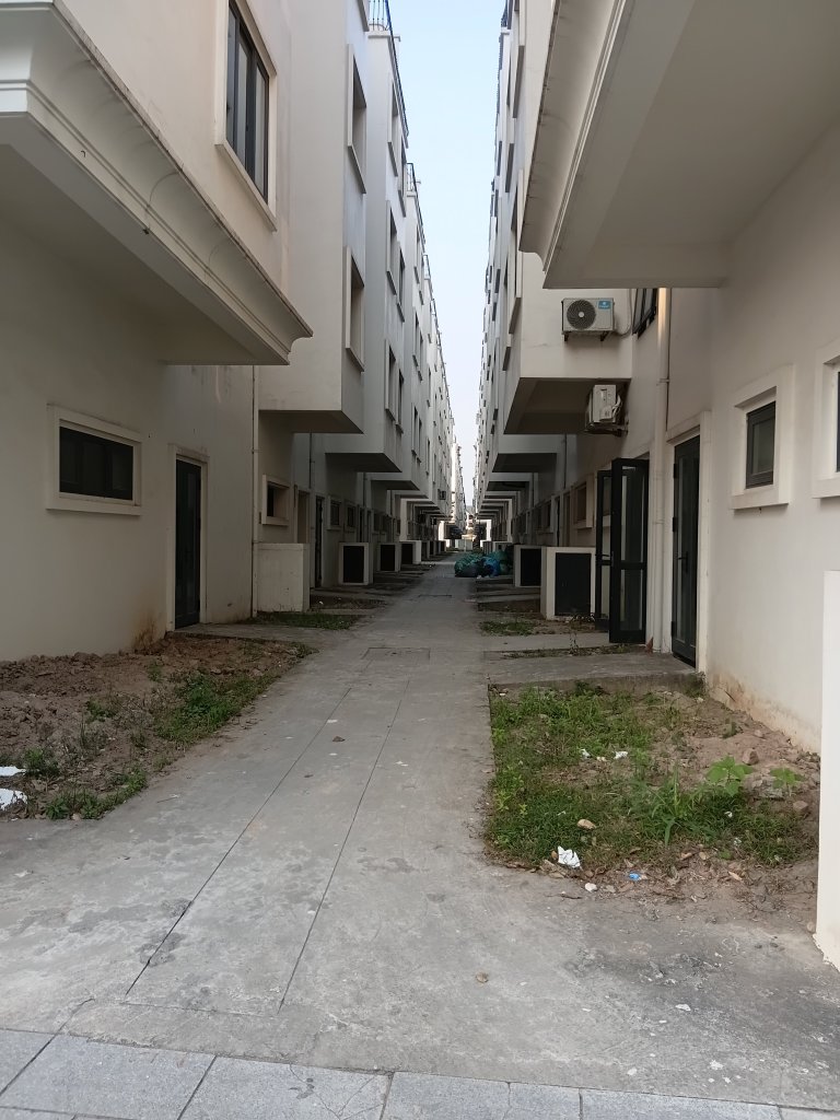 683.jpg
