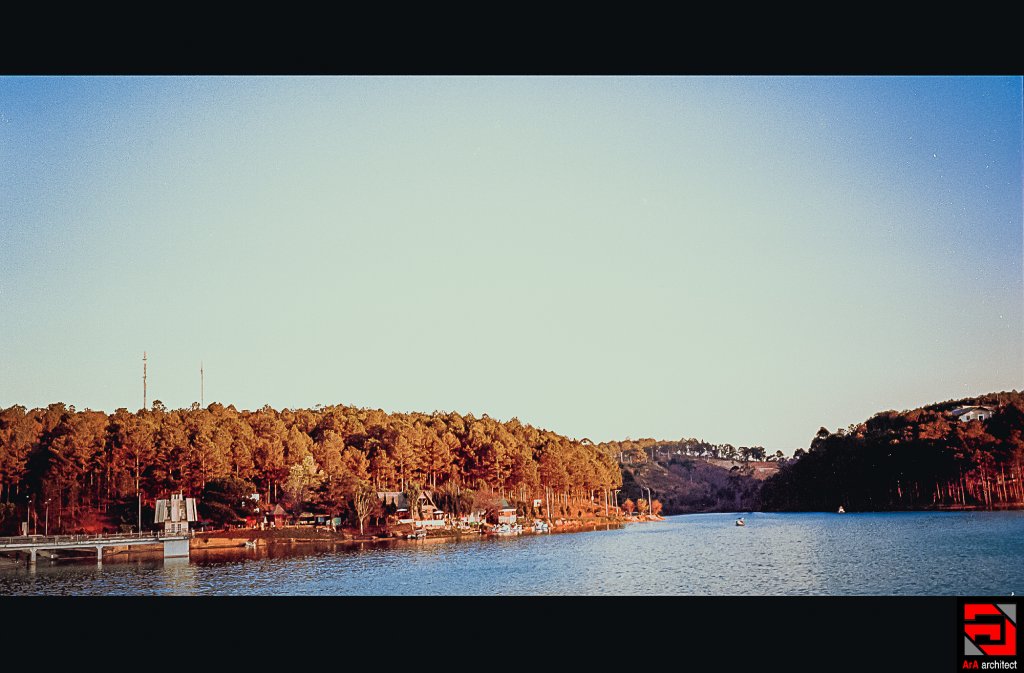 Scan-0011.JPG