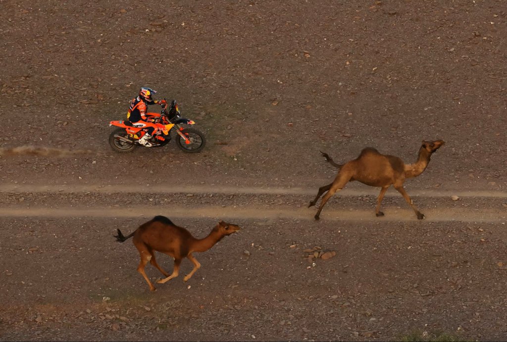 Dakar Rally 2026_1_5 (3).jpg