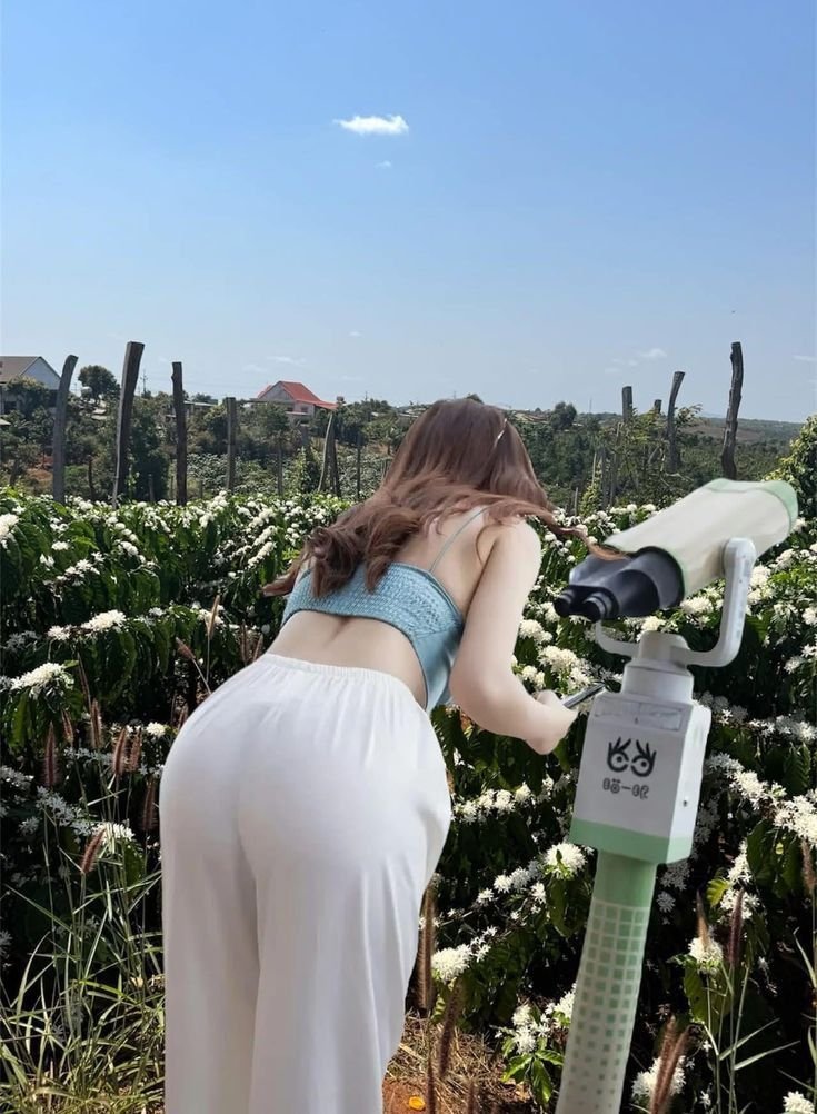 5a9a2f445417a672887eeb36b0e71b60.jpg