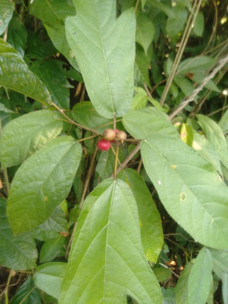 IMG20260114104315.jpg