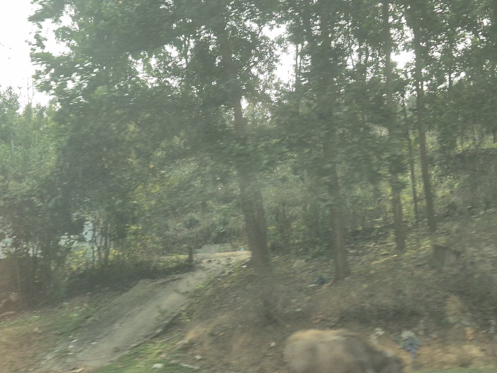 20250302_163226.jpg