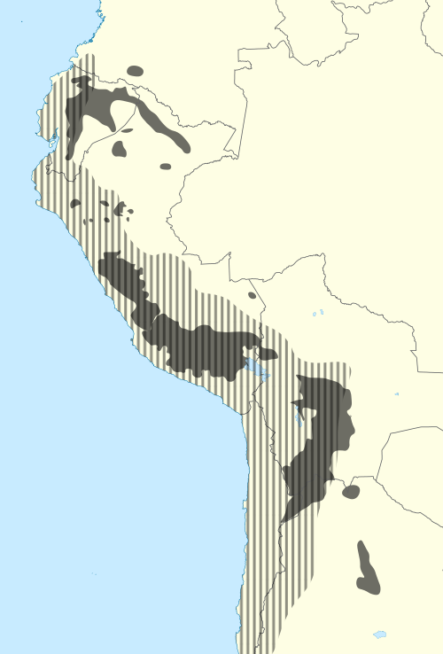 Quechuan_distribution_(w_Inca_Empire).svg.png