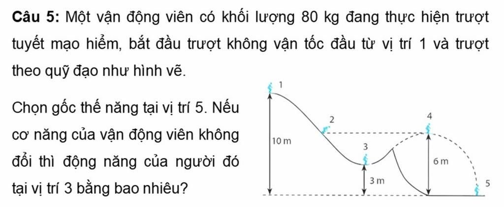 large_1760011662488.jpg
