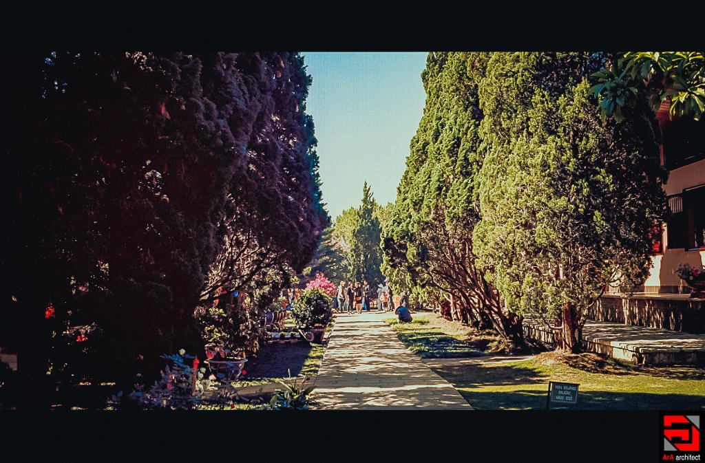 Scan-0007.JPG