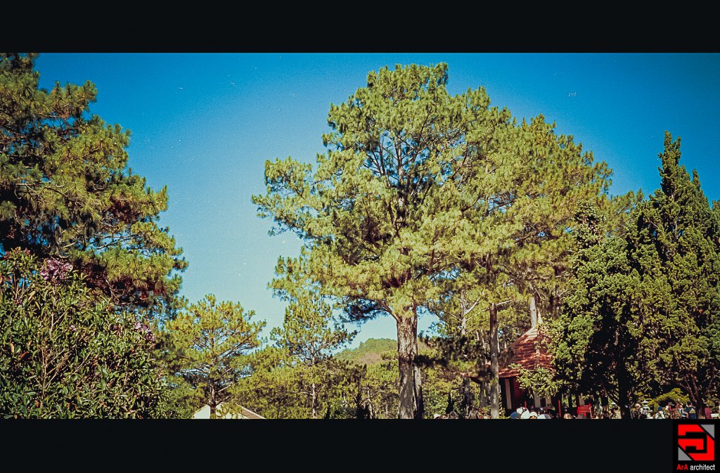 Scan-0009.JPG