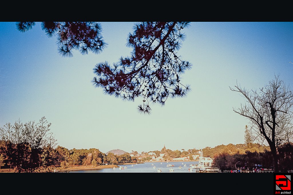 Scan-0016.JPG