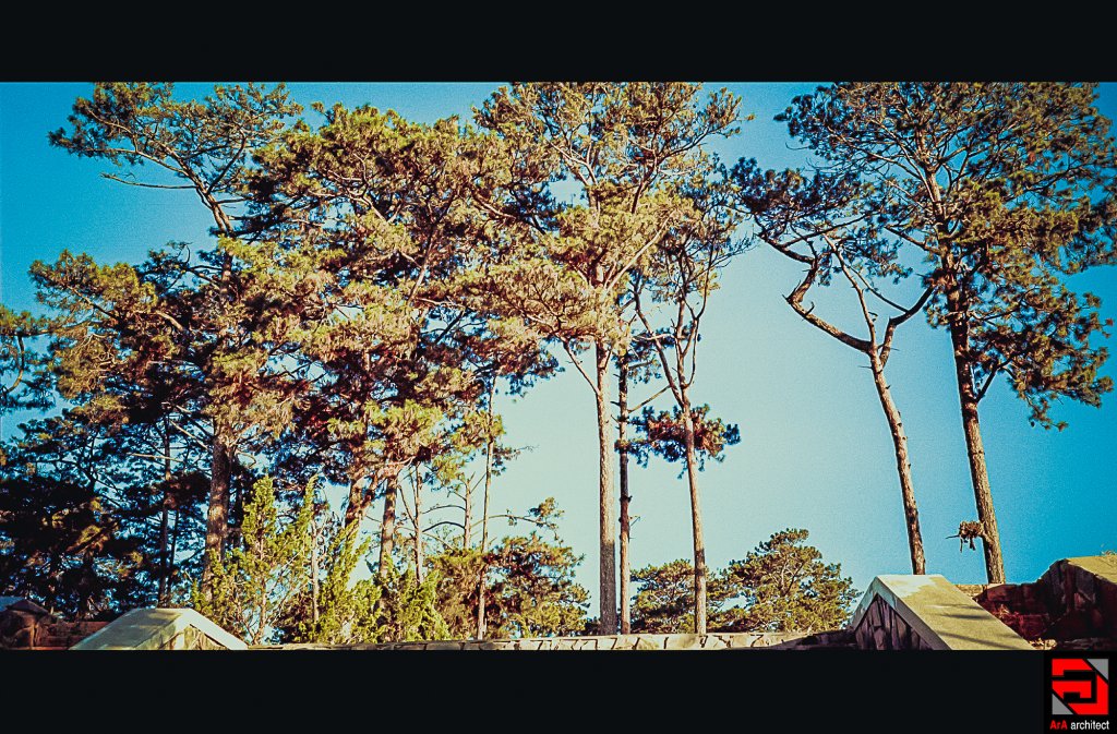 Scan-0018.JPG