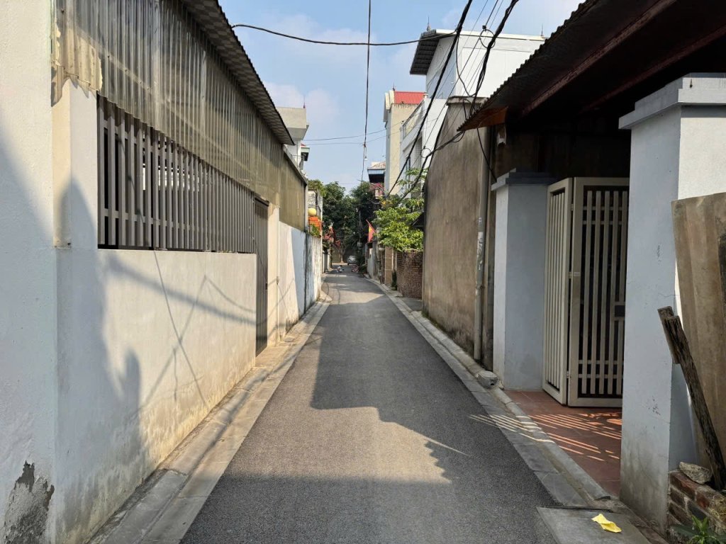 IMG_7279.jpeg